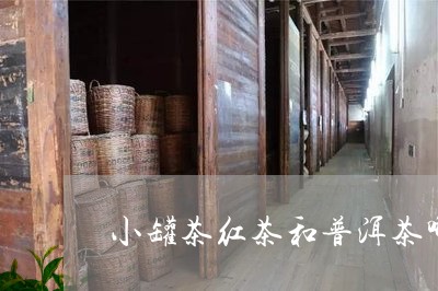 小罐茶红茶和普洱茶哪个好/2023082735148