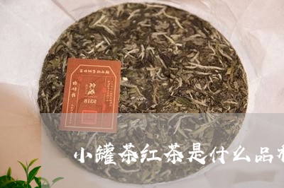 小罐茶红茶是什么品种/2023060989282