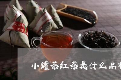 小罐茶红茶是什么品种/2023092026261