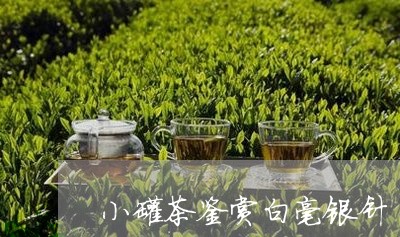 小罐茶鉴赏白毫银针/2023091449373