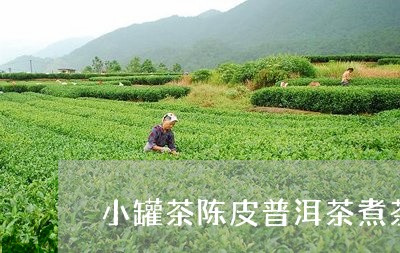 小罐茶陈皮普洱茶煮茶/2023080297068