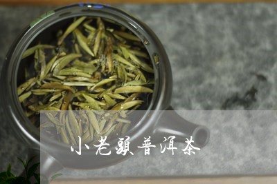 小老头普洱茶/2023042697855