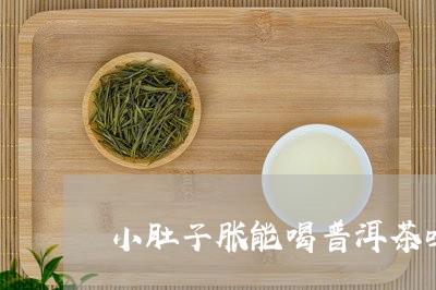 小肚子胀能喝普洱茶吗/2023092675061