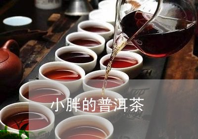 小胖的普洱茶/2023042908833