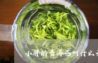 小胖的普洱茶叫什么茶/2023082937591