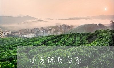 小芳陈皮白茶/2023063004826