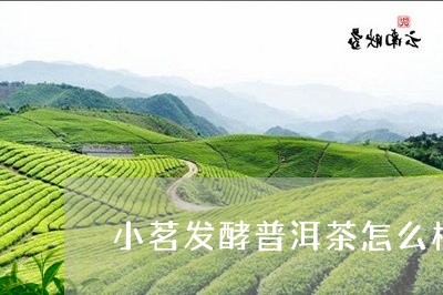 小茗发酵普洱茶怎么样/2023092883938