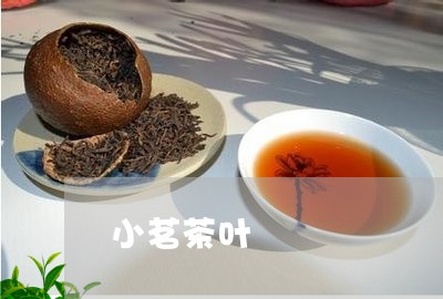 小茗茶叶/2023110939471