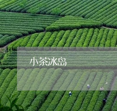 小茶冰岛/2023090100849