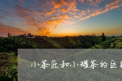 小茶匠和小罐茶的区别/2023071593849