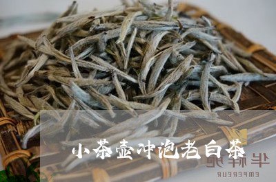 小茶壶冲泡老白茶/2023062006042