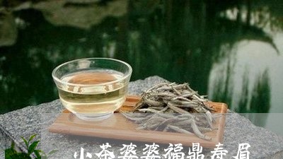 小茶婆婆福鼎寿眉/2023062008470