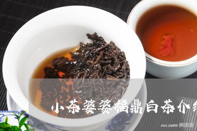 小茶婆婆福鼎白茶介绍/2023120895925