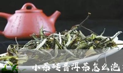 小茶砖普洱茶怎么泡才好喝/2023112506570