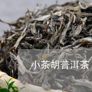 小茶胡普洱茶/2023101601946