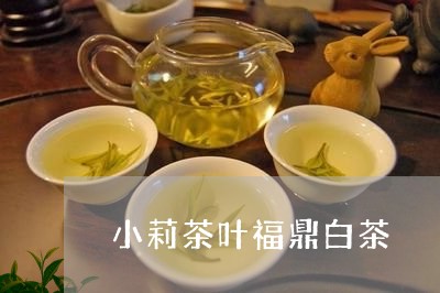 小莉茶叶福鼎白茶/2023062096271