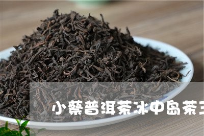 小蔡普洱茶冰中岛茶王/2023100576160