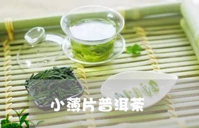 小薄片普洱茶/2023042784165