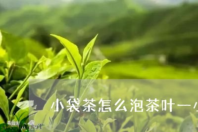 小袋茶怎么泡茶叶一小袋是一泡吗/2023060293838