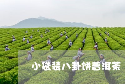 小袋装八卦饼普洱茶/2023120509402