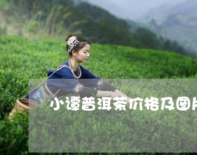 小谭普洱茶价格及图片/2023120657281