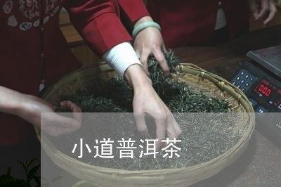 小道普洱茶/2023090572806