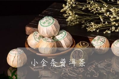 小金条普洱茶/2023042720016