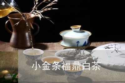 小金条福鼎白茶/2023082686250