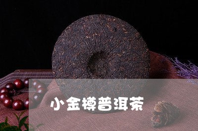 小金樽普洱茶/2023042836443