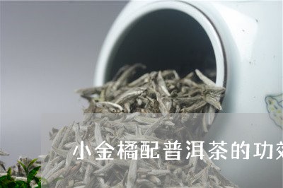 小金橘配普洱茶的功效/2023082990715