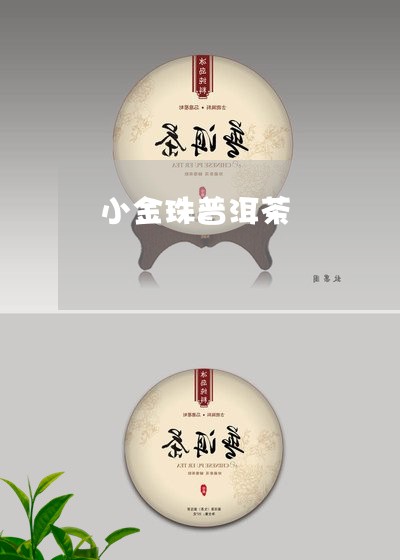 小金珠普洱茶/2023042750765