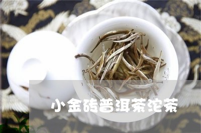 小金砖普洱茶沱茶/2023112646058