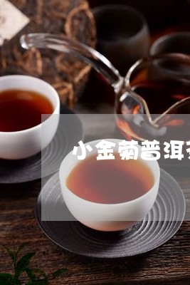 小金菊普洱茶/2023042652431