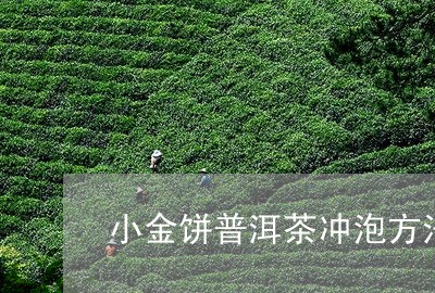 小金饼普洱茶冲泡方法/2023120716038