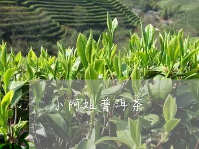 小阿姐普洱茶/2023042605224