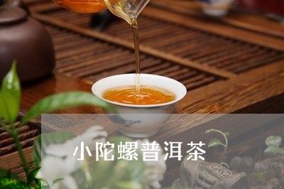 小陀螺普洱茶/2023042840396