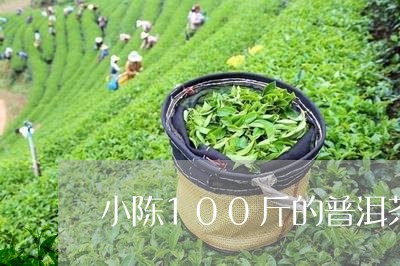 小陈100斤的普洱茶/2023080322726