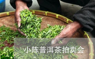 小陈普洱茶拍卖会/2023120460625