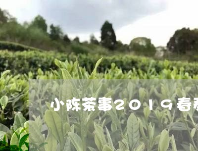 小陈茶事2019春寿眉/2023092419291