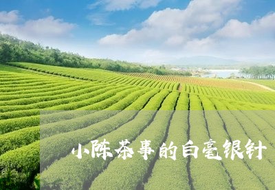 小陈茶事的白毫银针/2023120668471