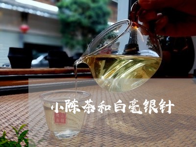 小陈茶和白毫银针/2023090686148