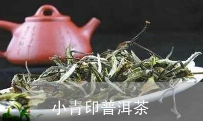 小青印普洱茶/2023042569393