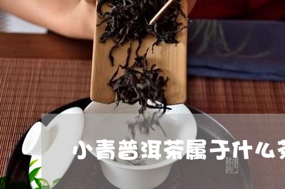 小青普洱茶属于什么茶/2023100711715