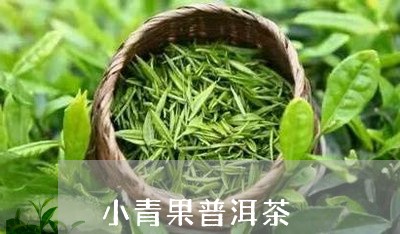 小青果普洱茶/2023042677453