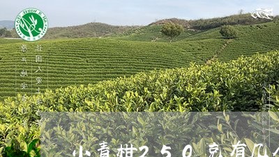 小青柑250克有几个/2023092150402