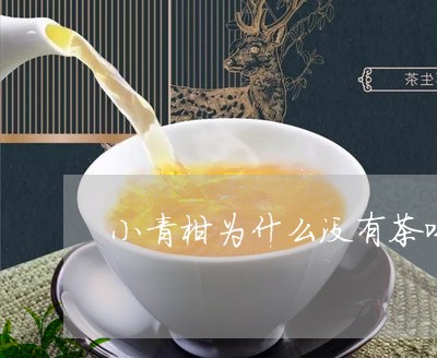 小青柑为什么没有茶味/2023071618250