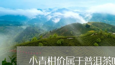 小青柑价属于普洱茶吗/2023061617469