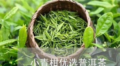 小青柑优选普洱茶/2023101685047