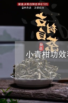 小青柑功效和适用人群/2023092149581