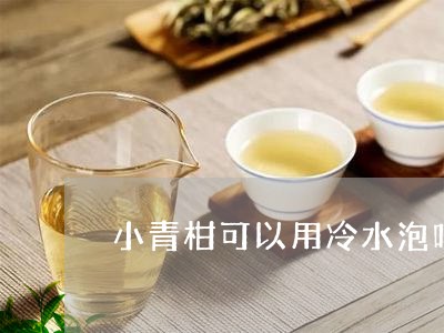 小青柑可以用冷水泡吗/2023071608383